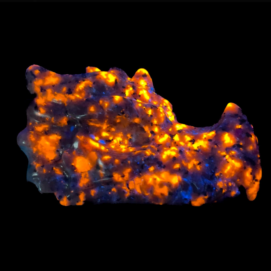 Yooperlite Dragon Head