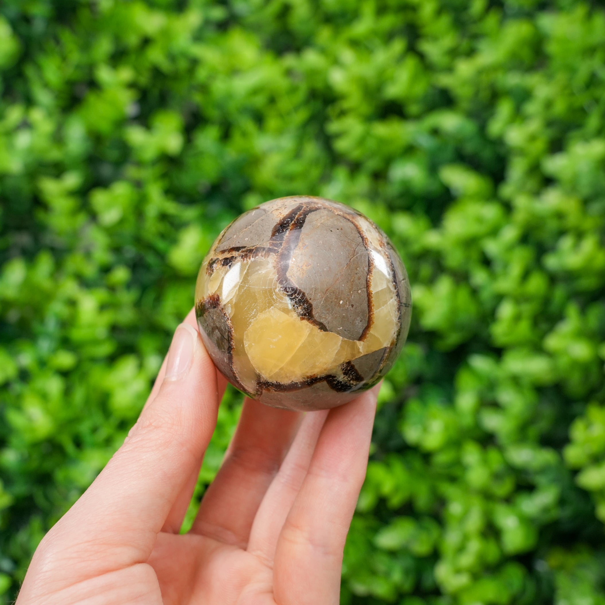 Natural Septarian Dragon Stone Sphere Polished Geode Ball, Hand-Carved Septarian Nodule Crystal for Grounding, Protection, and Spiritual Decor, Unique Gemstone Sphere with Stand