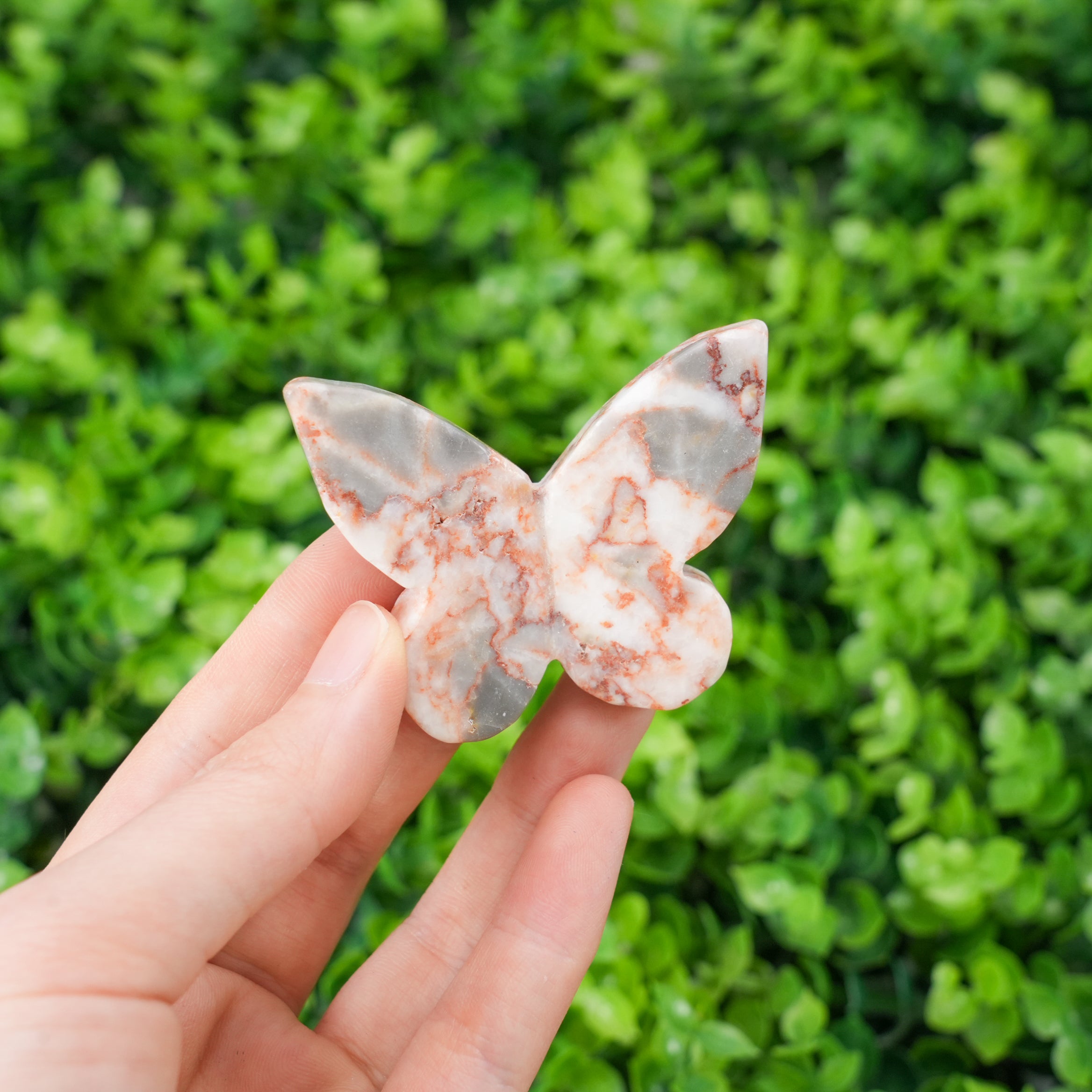 Hand-Carved Natural Mixed Jasper Crystal Butterfly, Red & Black Network Stone & Zebra Jasper for Healing, Strength, and Transformation