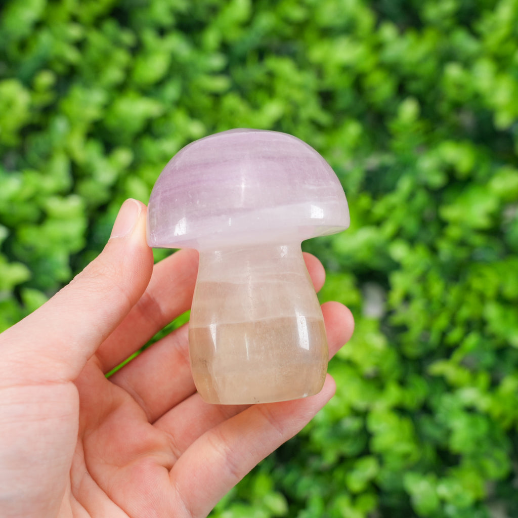 Natural Rainbow Fluorite Mushroom - Hand-Carved Colorful Crystal Mushroom Figurine
