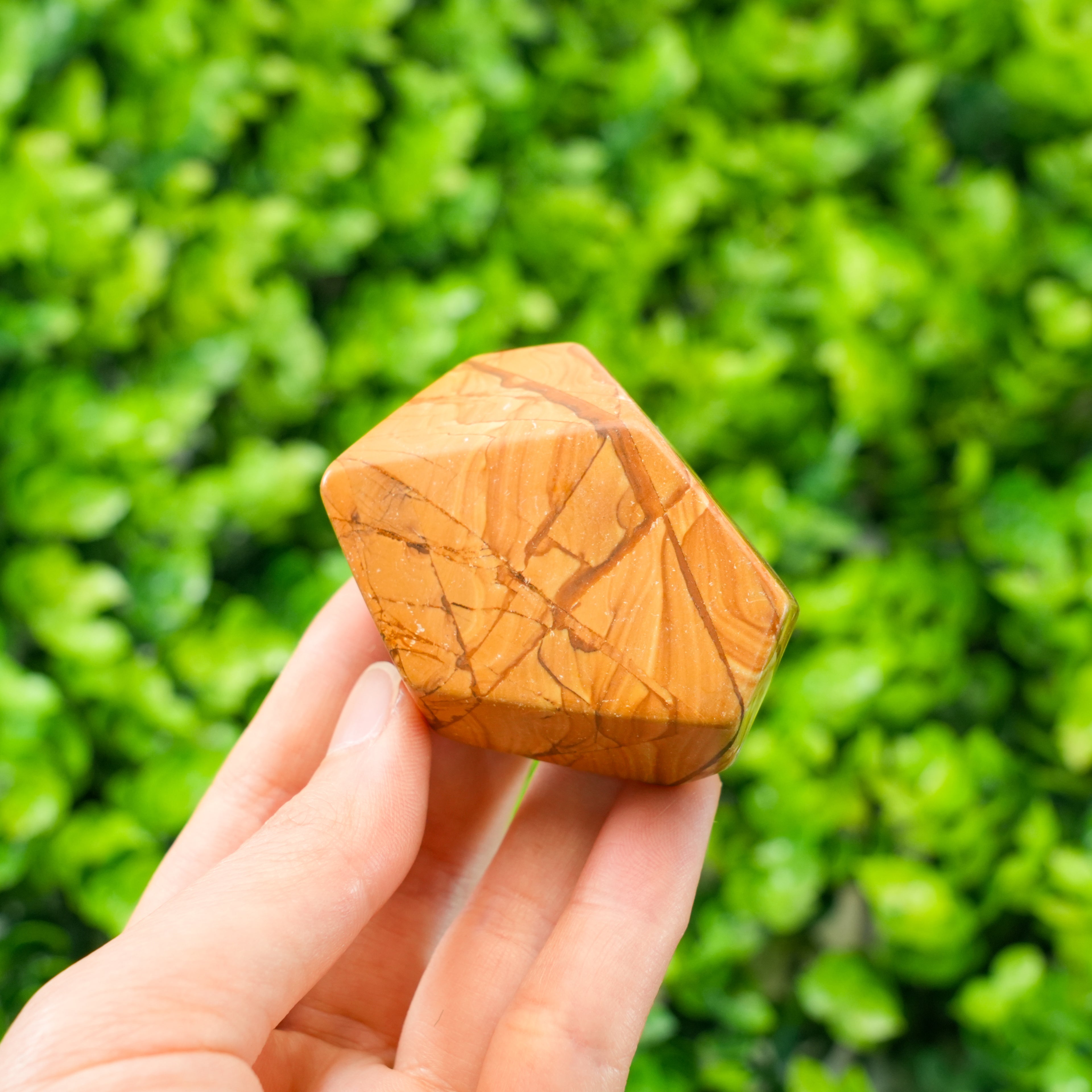 Premium Picture Jasper Free Form Stone – Natural Landscape Jasper Crystal Sculpture for Display & Collectors