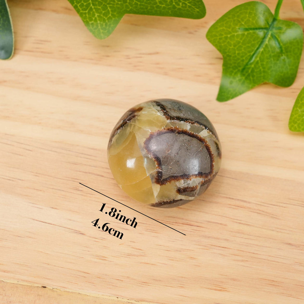 Septarian Palm Stone - Hand-Polished Natural Nodule, Smooth Tactile Gem for Daily Palm Holding & Stress Relief