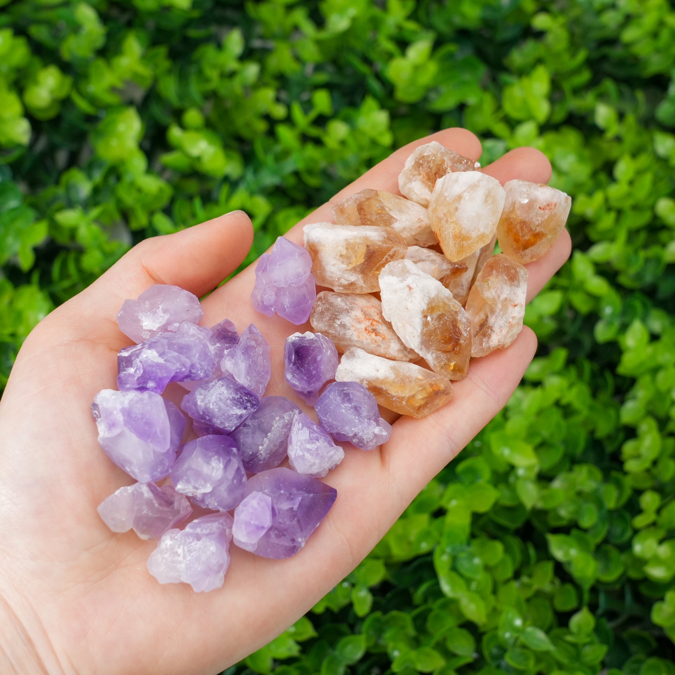 Mixed Amethyst & Citrine Quartz Crystal Points (Assorted Crystal Points)