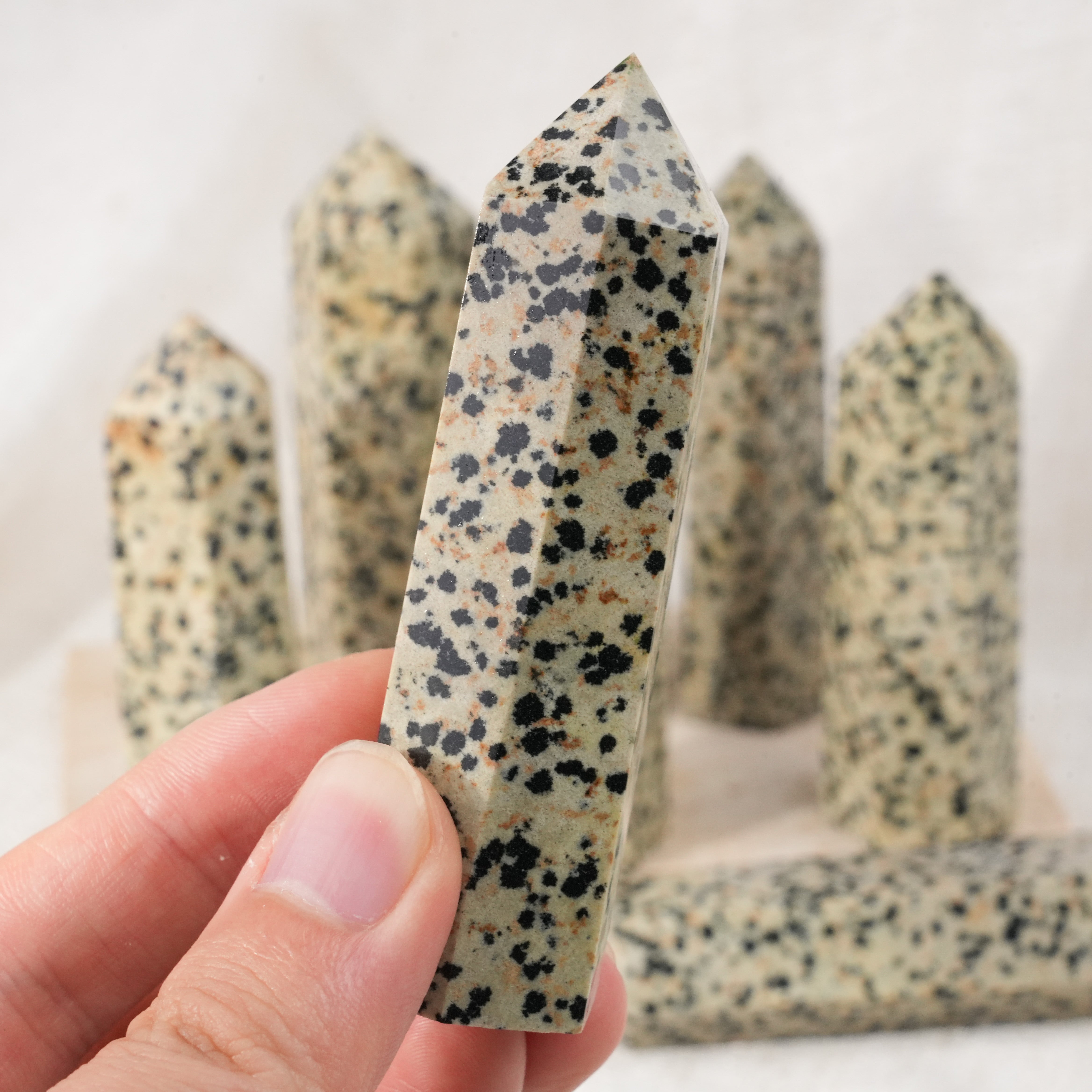 Dalmatian Jasper Point
