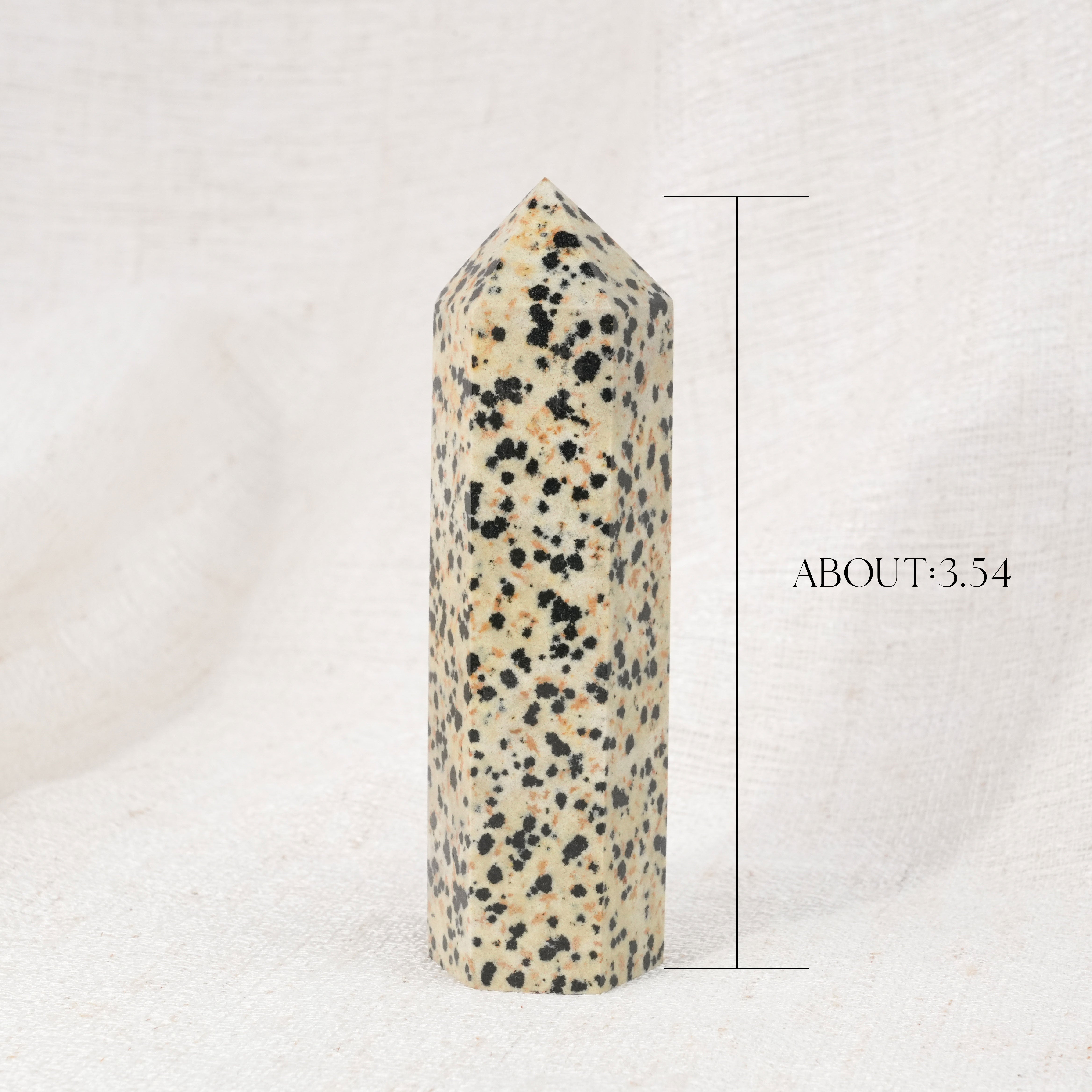 Dalmatian Jasper Point