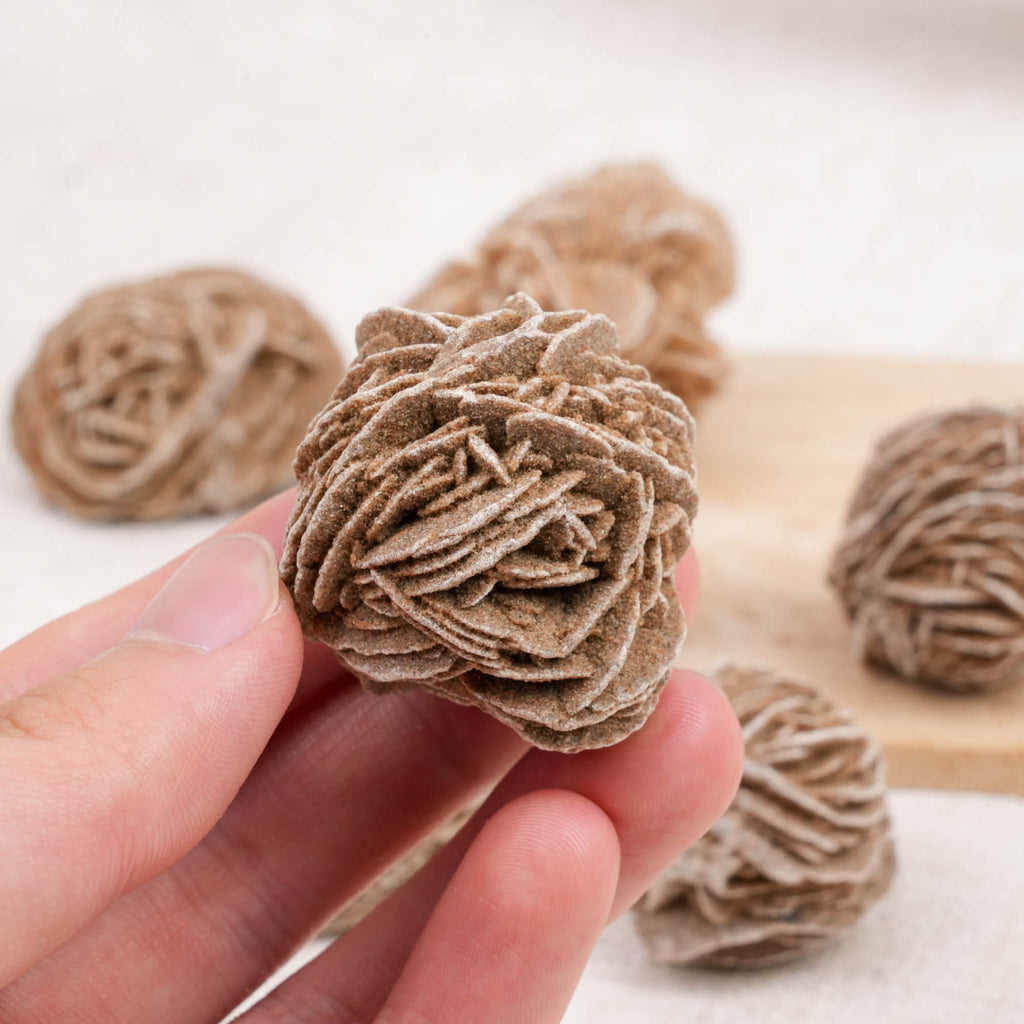 Desert Rose