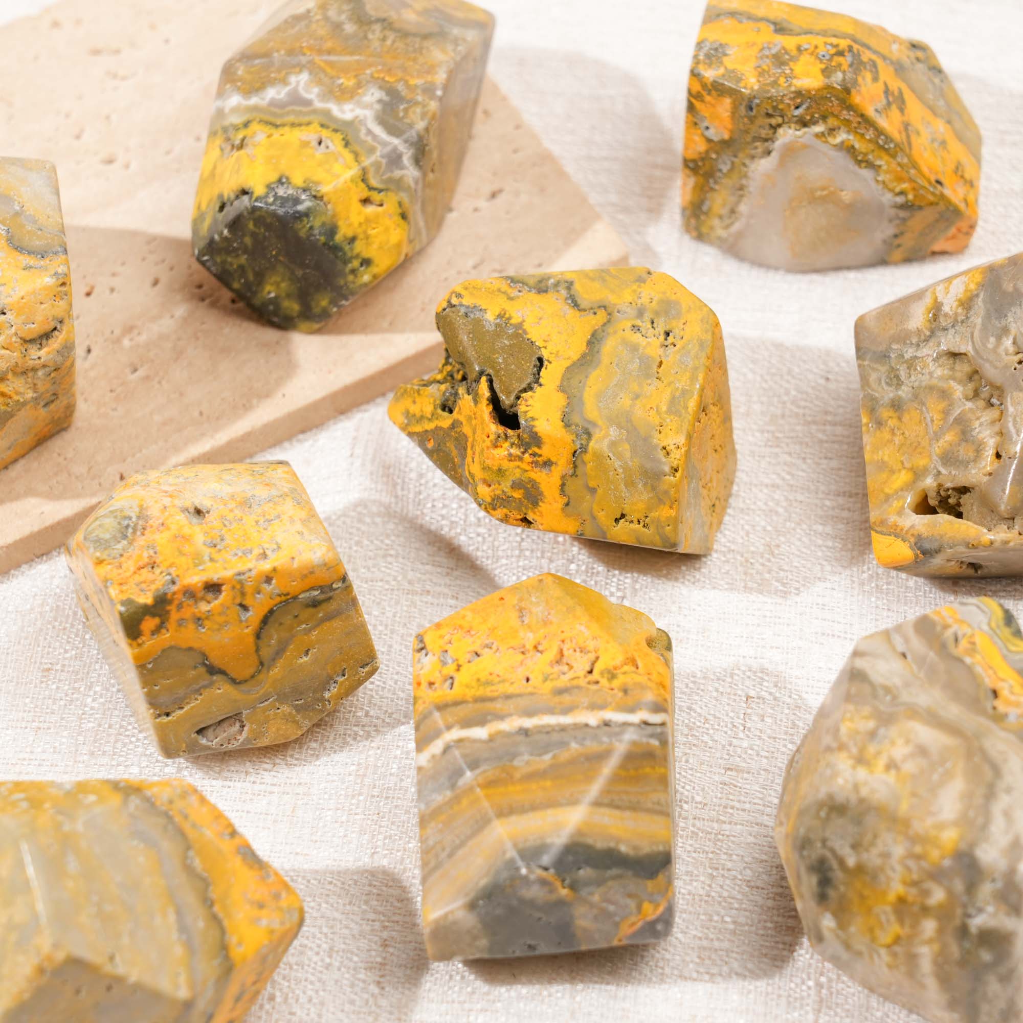 Bumblebee Jasper Freeform