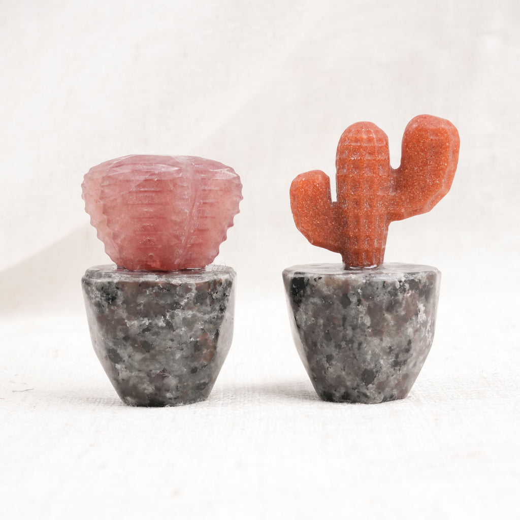 Yooperlite Dragon Cactus