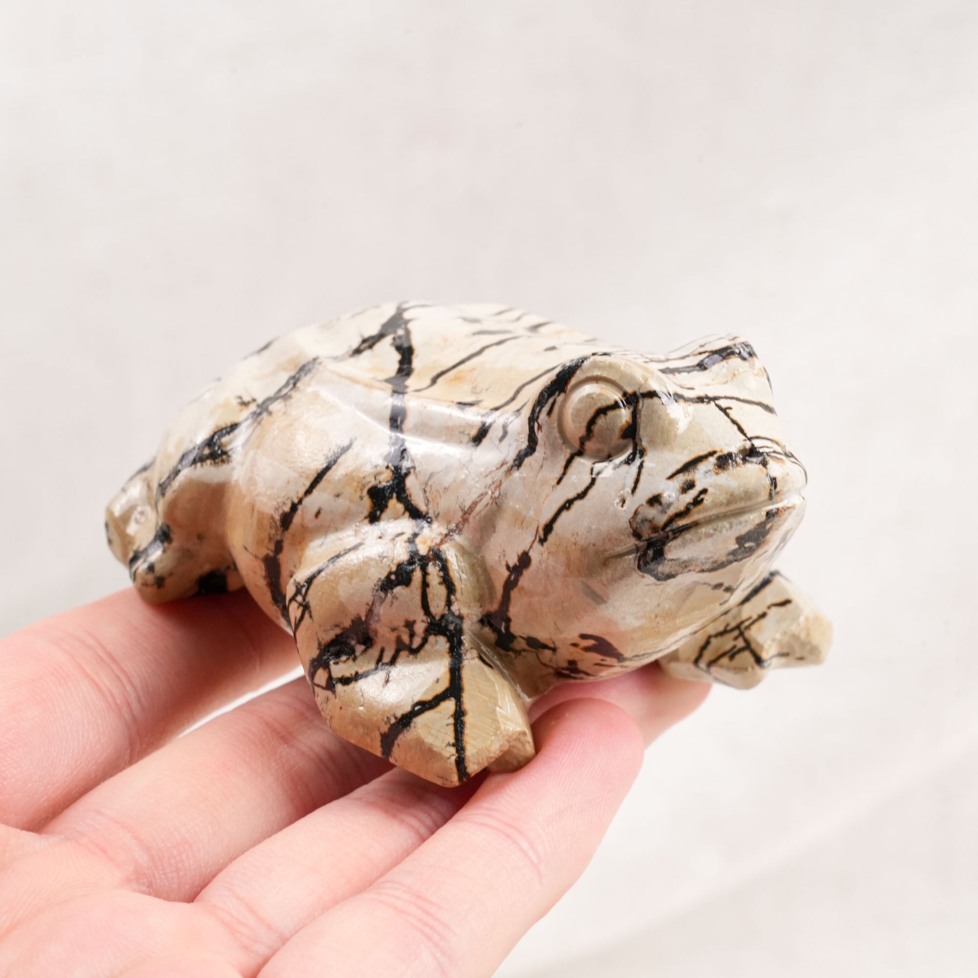 Picture Jasper Frog Carving
