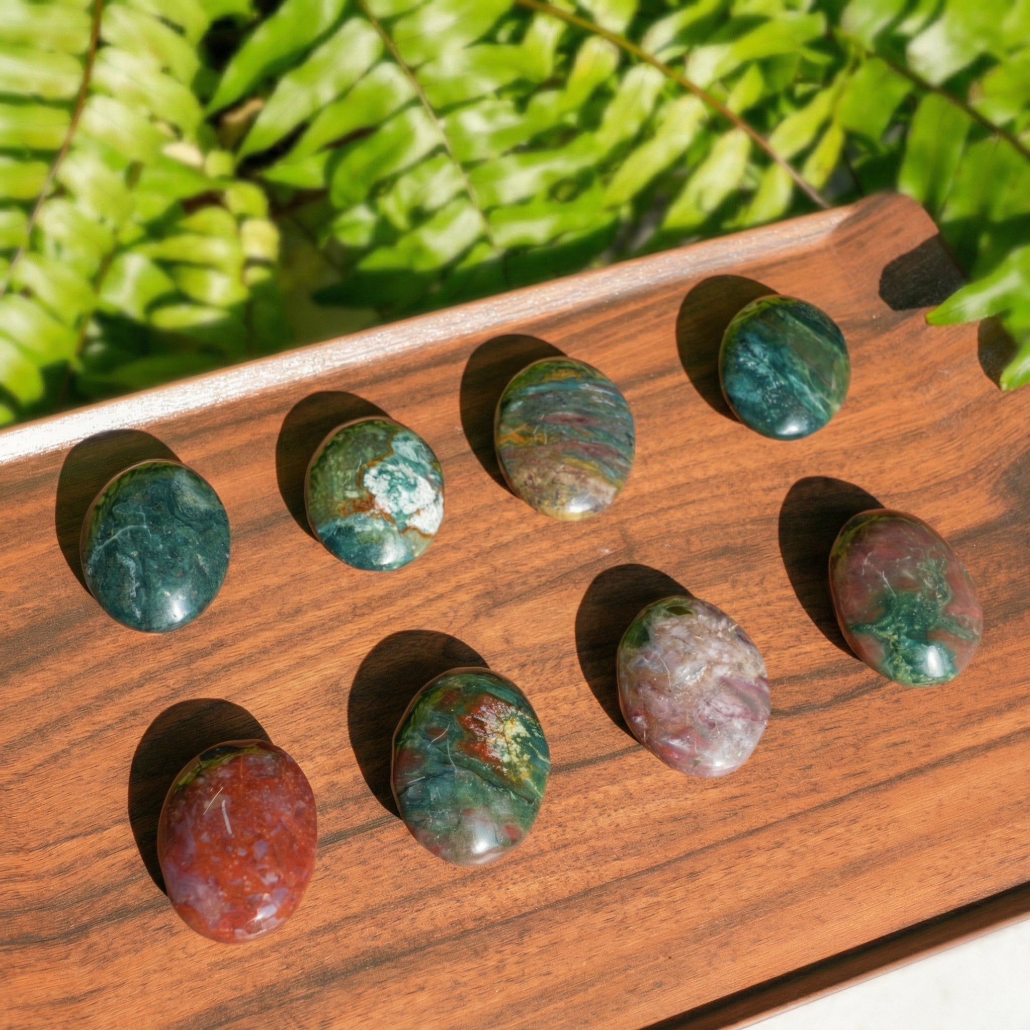 Ocean Jasper Palmstone