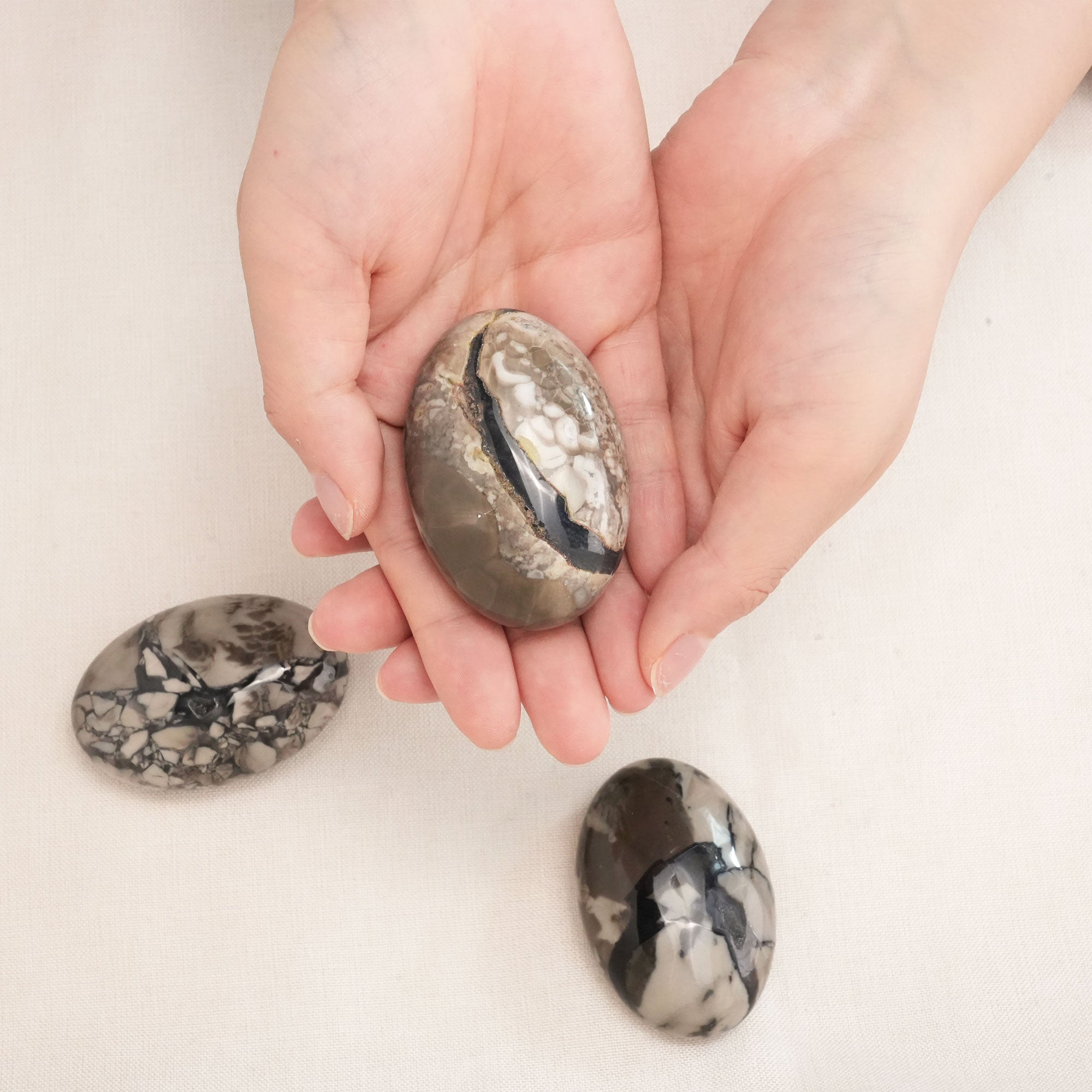 Close-up of a Volcanic Agate Palm Stone with intricate patterns