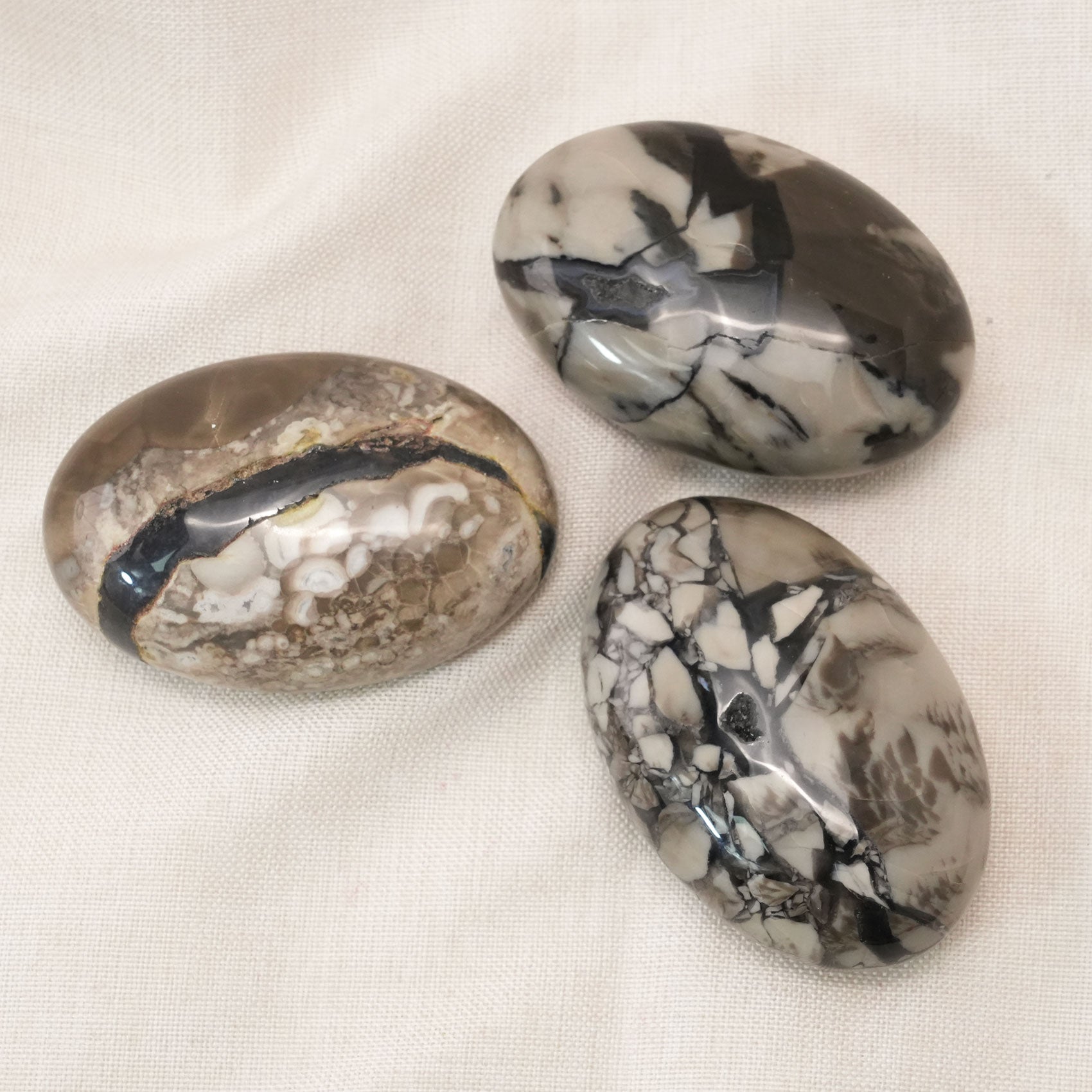 Volcanic Agate Palm Stone promoting healing and balance, perfect for meditation and energy work