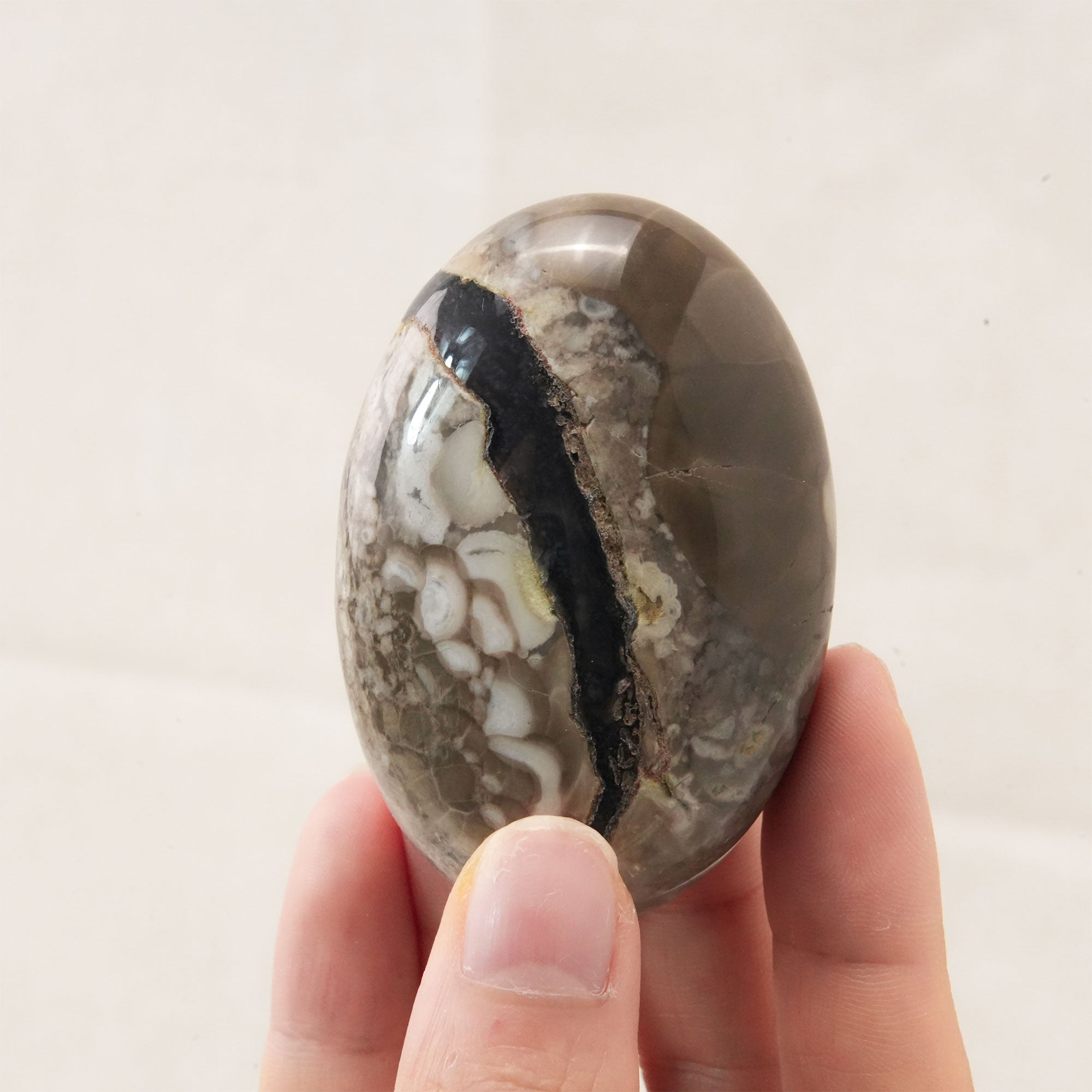 Detailed view of a Volcanic Agate Palm Stone showing its layers and hues
