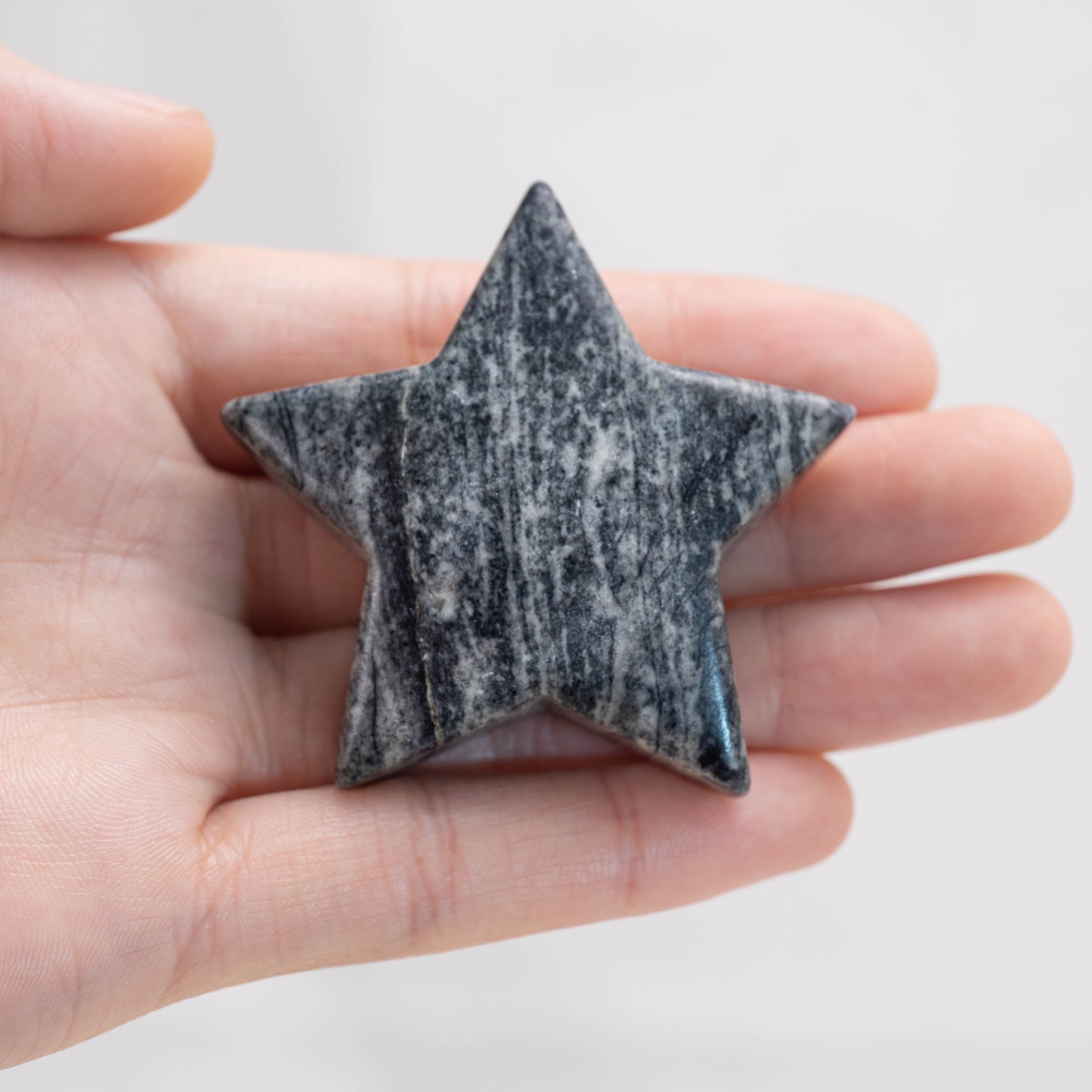 Close-up of Black Net Stone Star/Moon Palm Stone