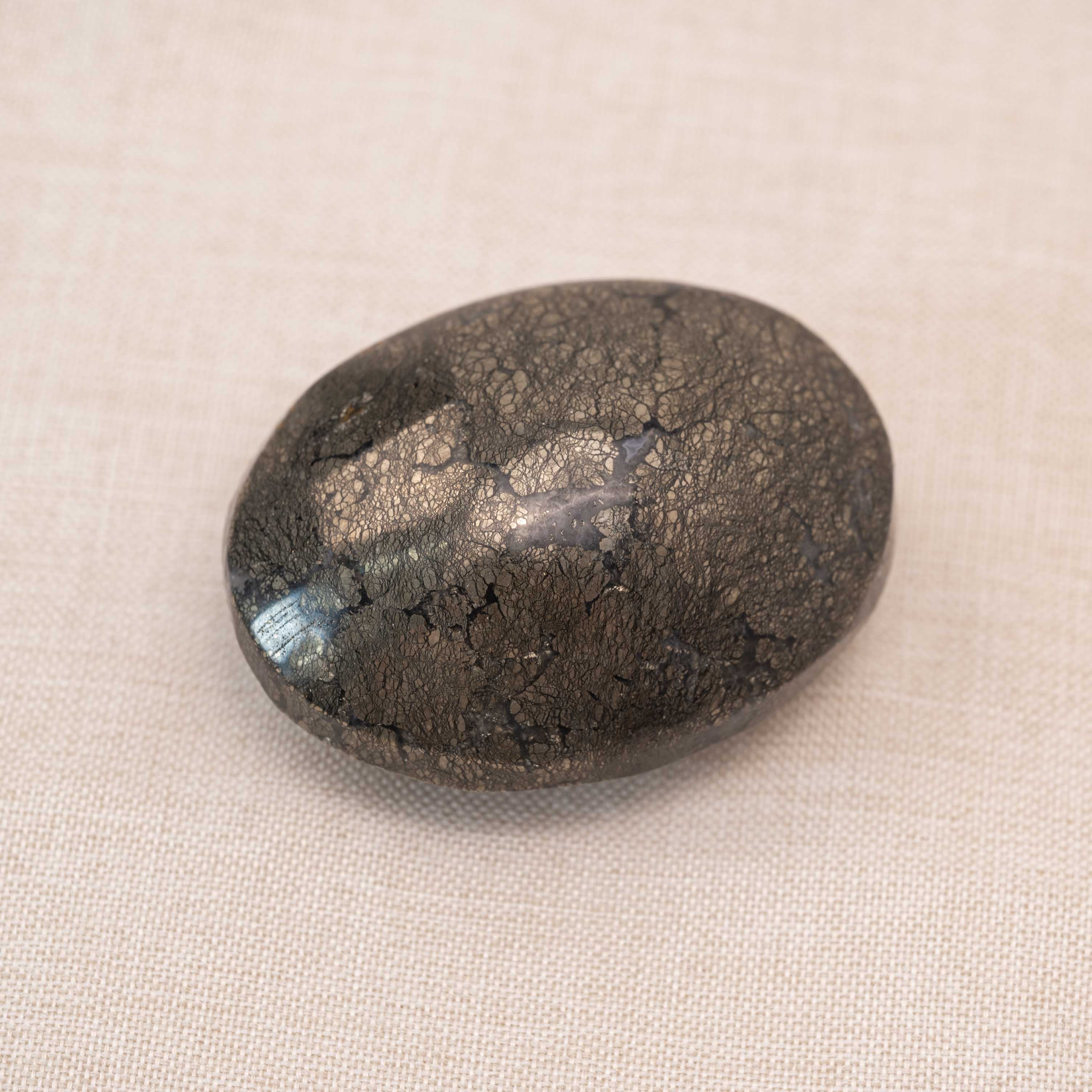 Marcasite Agate Palm Stone with unique metallic patterns and natural beauty