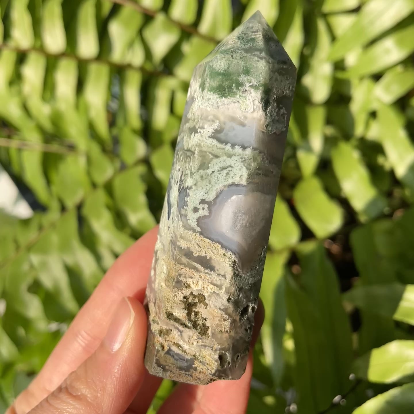 Moss Agate Point