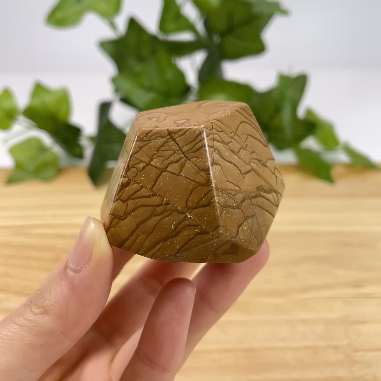 Premium Picture Jasper Free Form Stone – Natural Landscape Jasper Crystal Sculpture for Display & Collectors