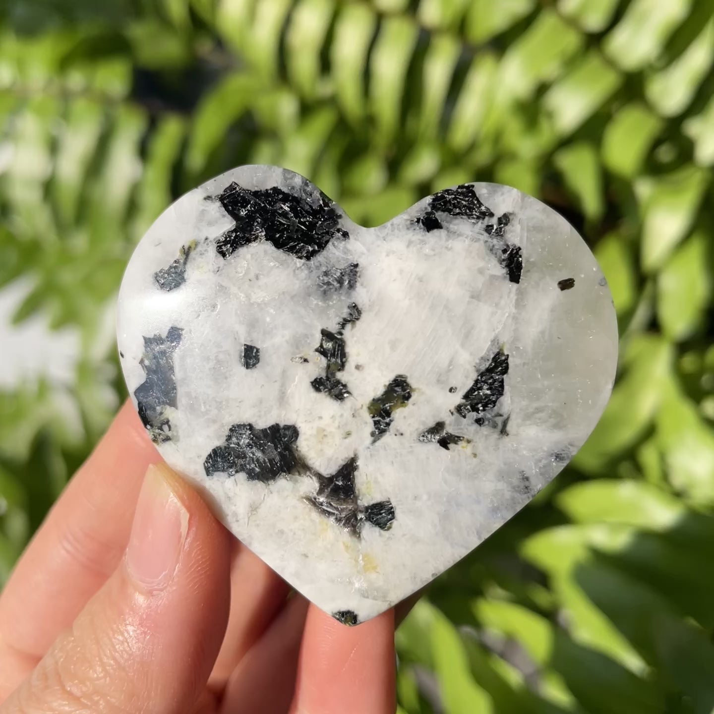 Black Dots White Moonstone Heart