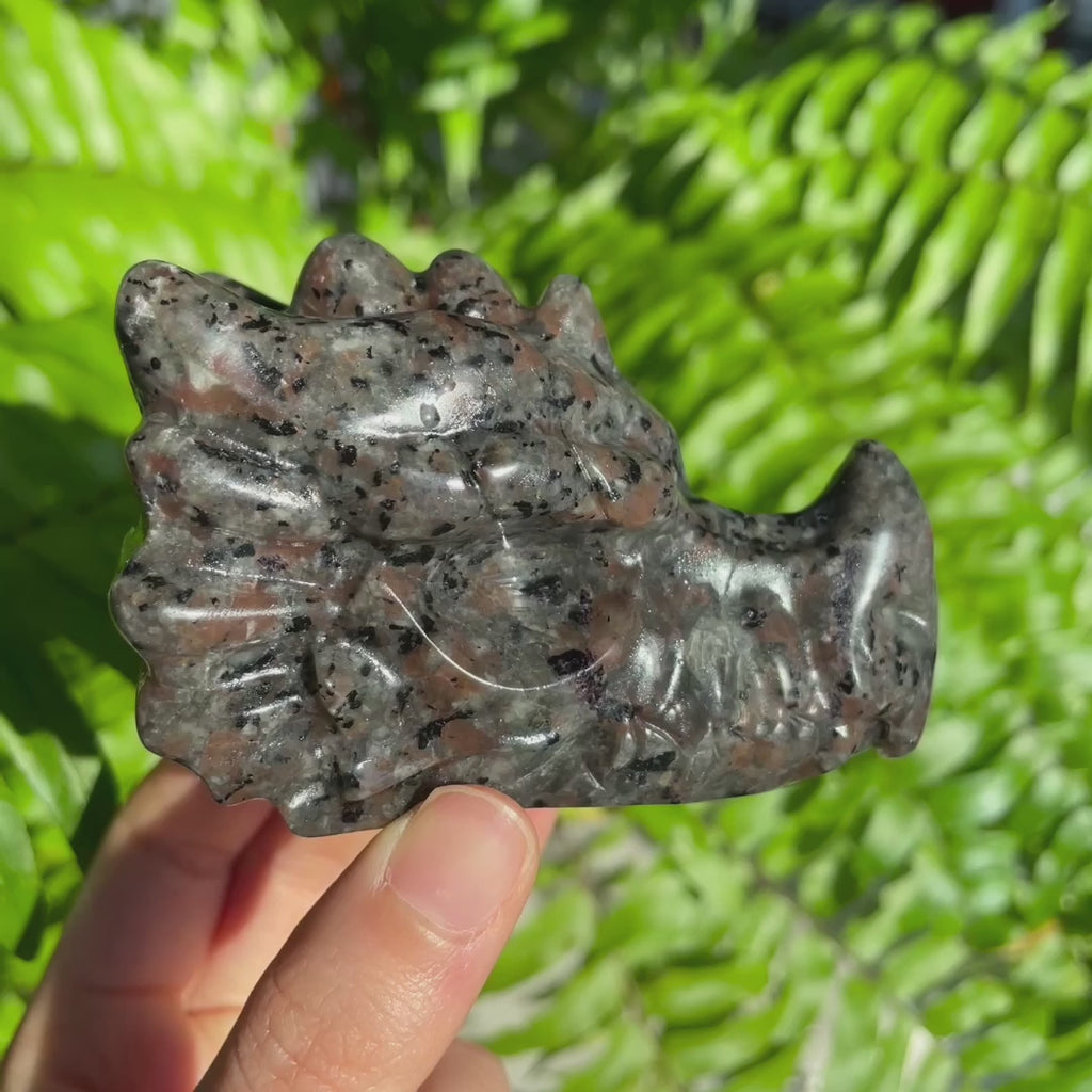 Yooperlite Dragon Head