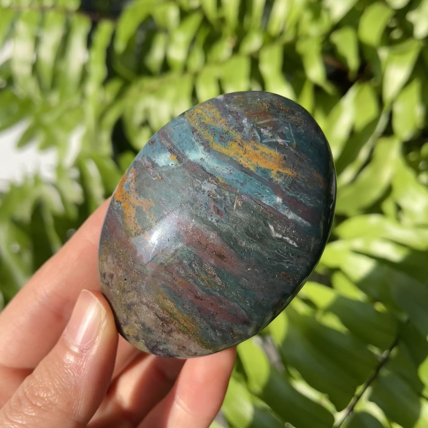 Ocean Jasper Palmstone