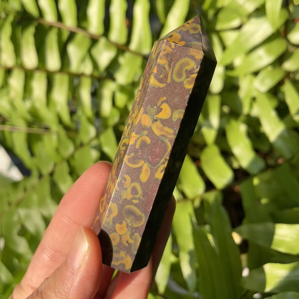 Fruit Jasper Point