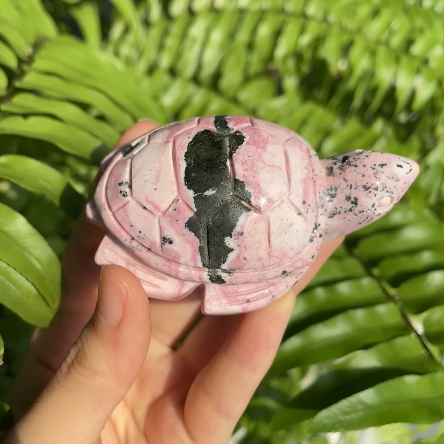 Peru Rhodonite Turtle