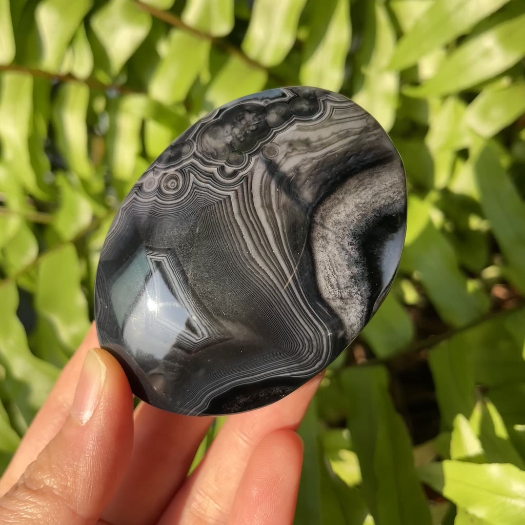 Black Sardonyx Palmstone