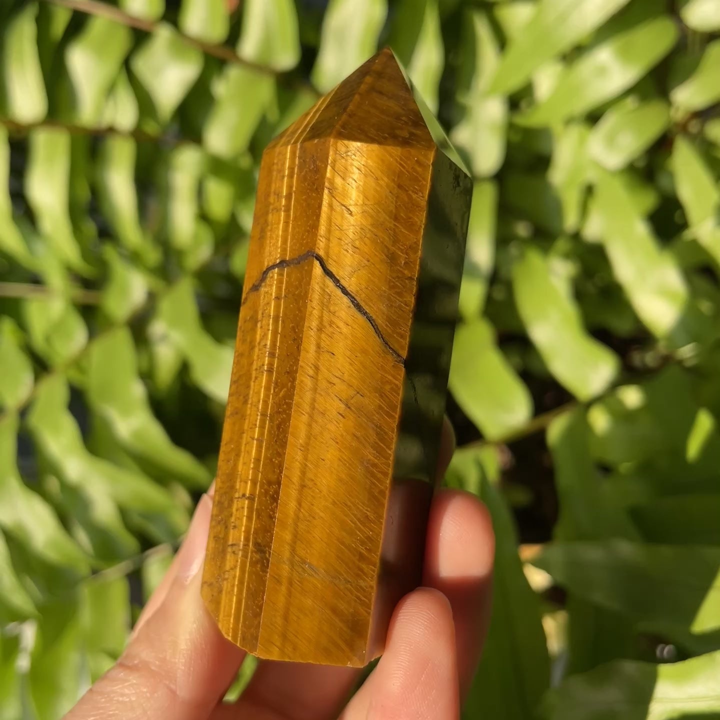 Yellow Tiger Eye Point