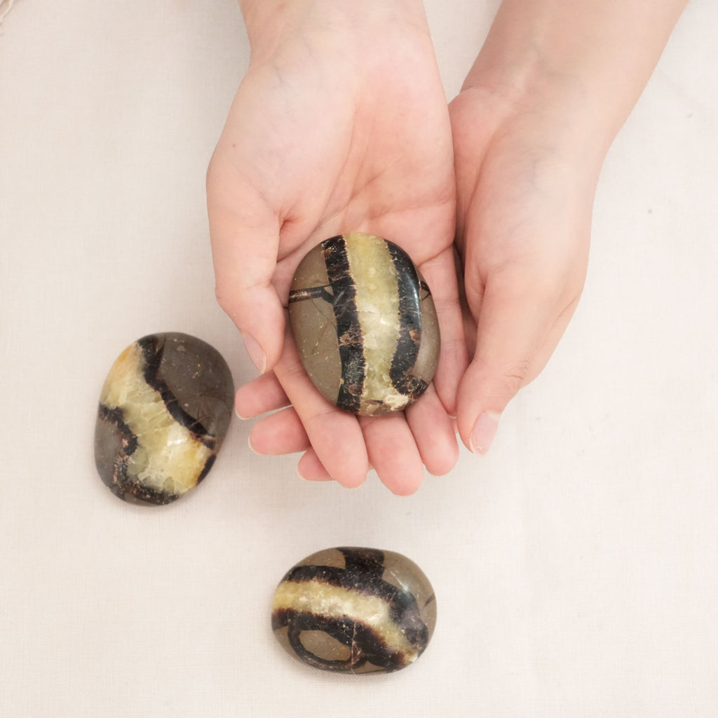Healing Septarium Palm Stone to harmonize emotions and connect with earth's energy