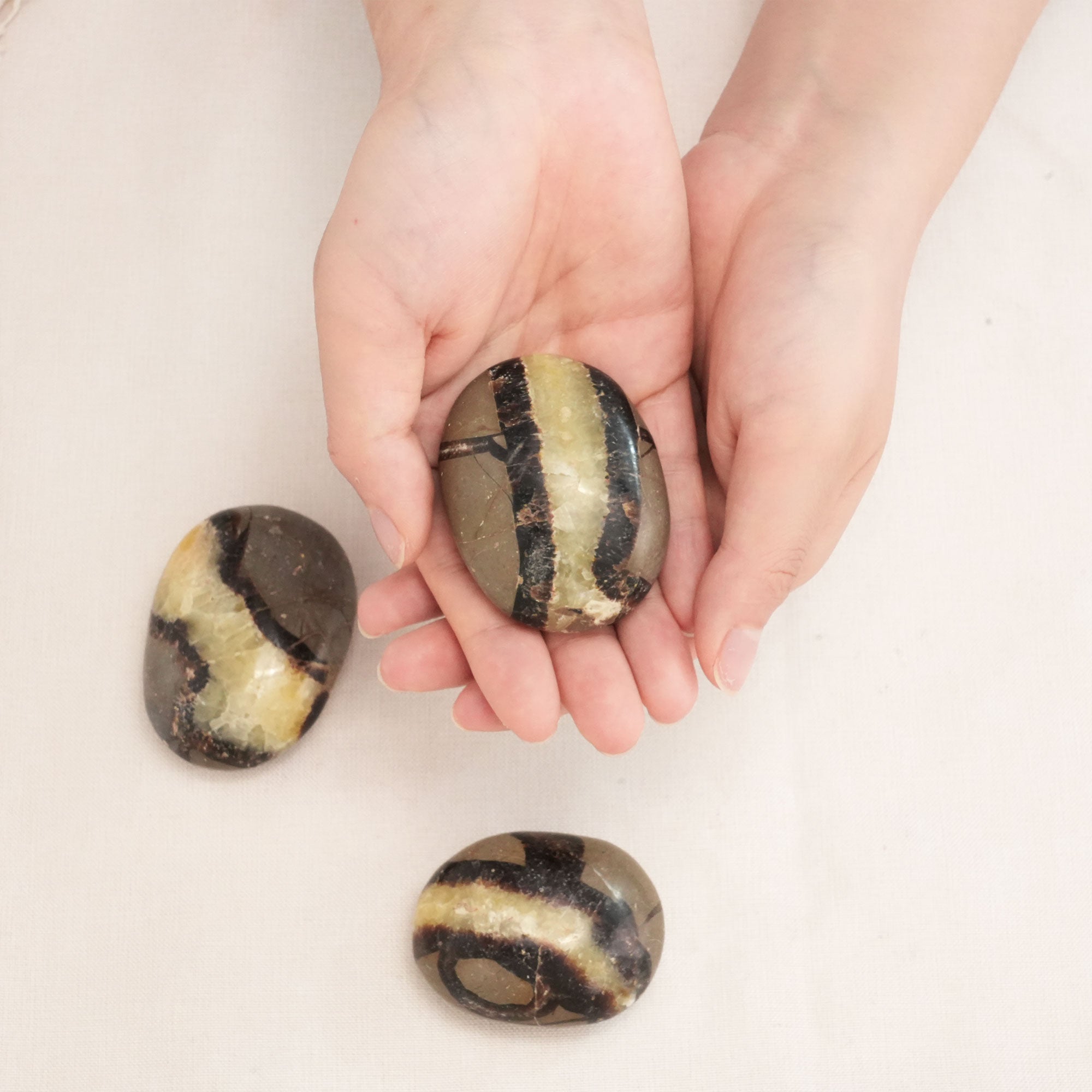 Healing Septarium Palm Stone to harmonize emotions and connect with earth's energy