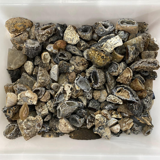 Agate Geode In Bulk