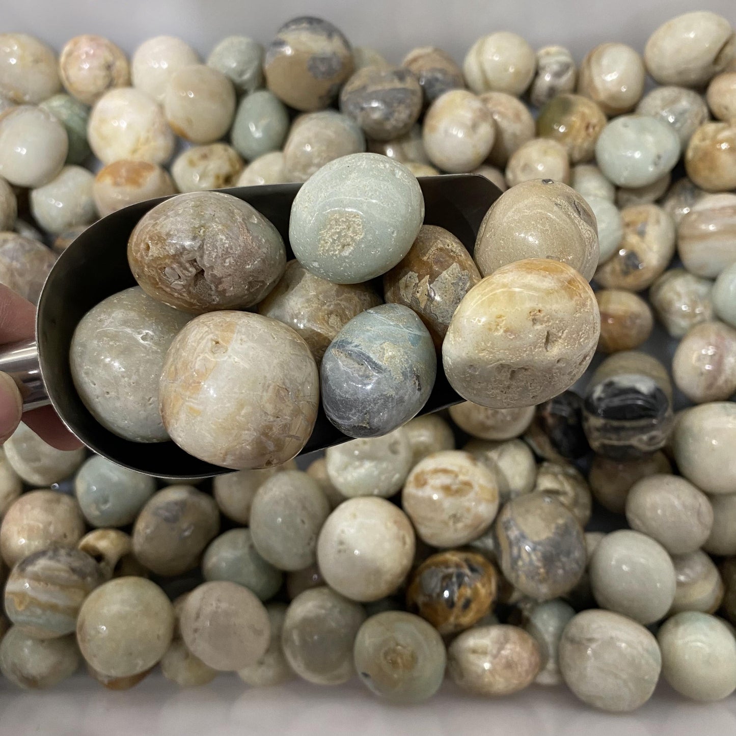 Amazonite Tumbled Stones In Bulk