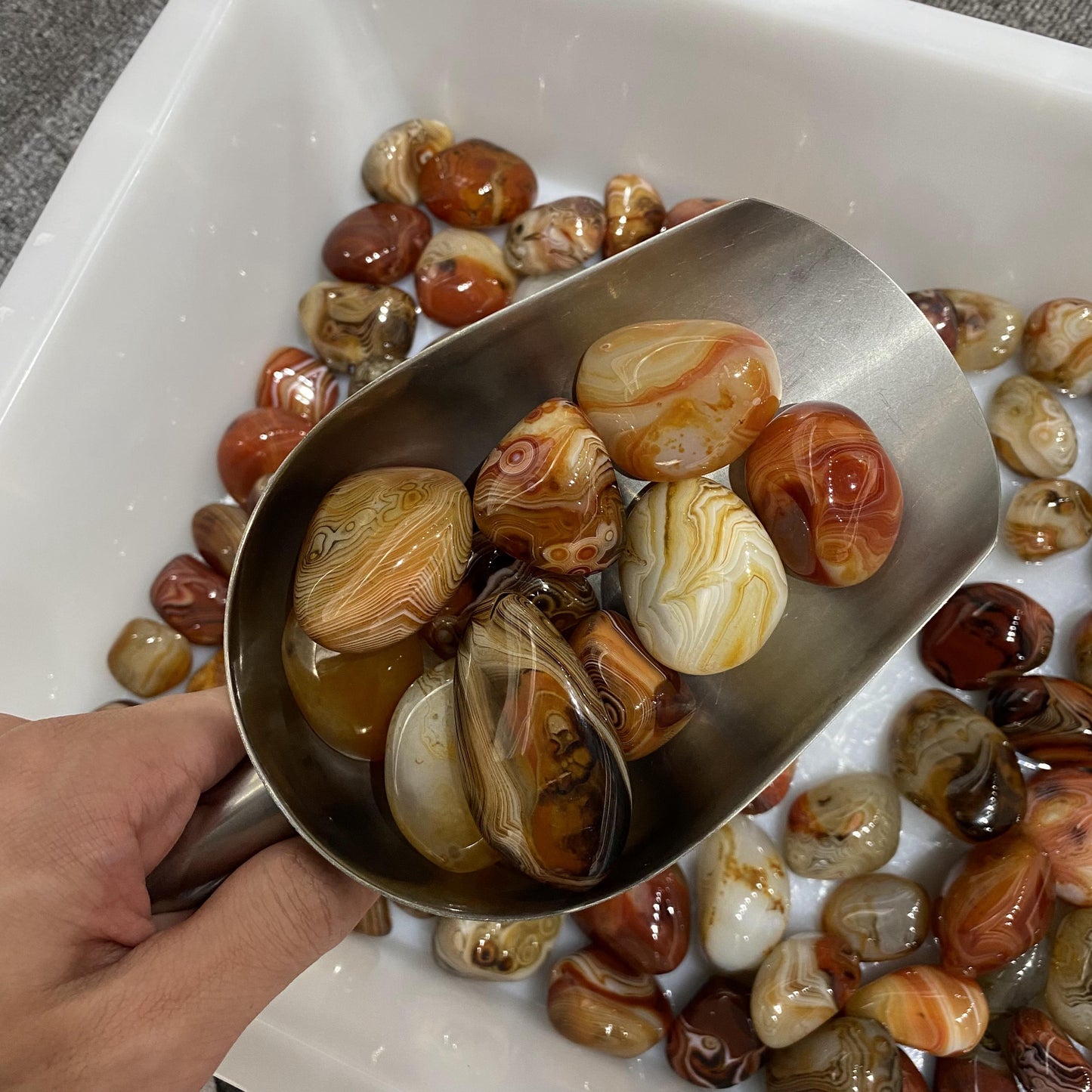 Sardonyx Tumbled Stones In Bulk
