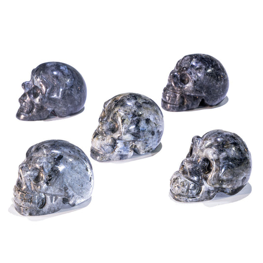 1.5-Inch Larvikite Skull In Bulk
