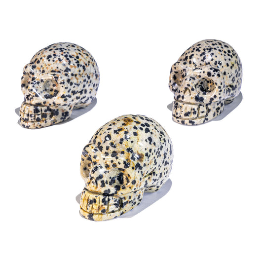 2-Inch Dalmatian Jasper Skull In Bulk