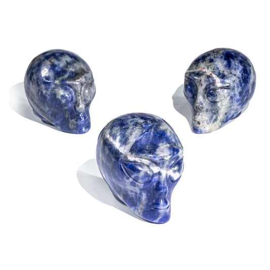 2-Inch Sodalite Alien Skull In Bulk