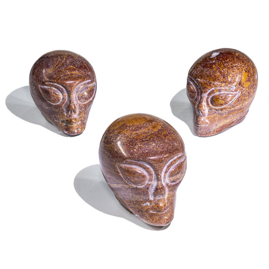 2-Inch Picture Jasper Alien Skull In Bulk