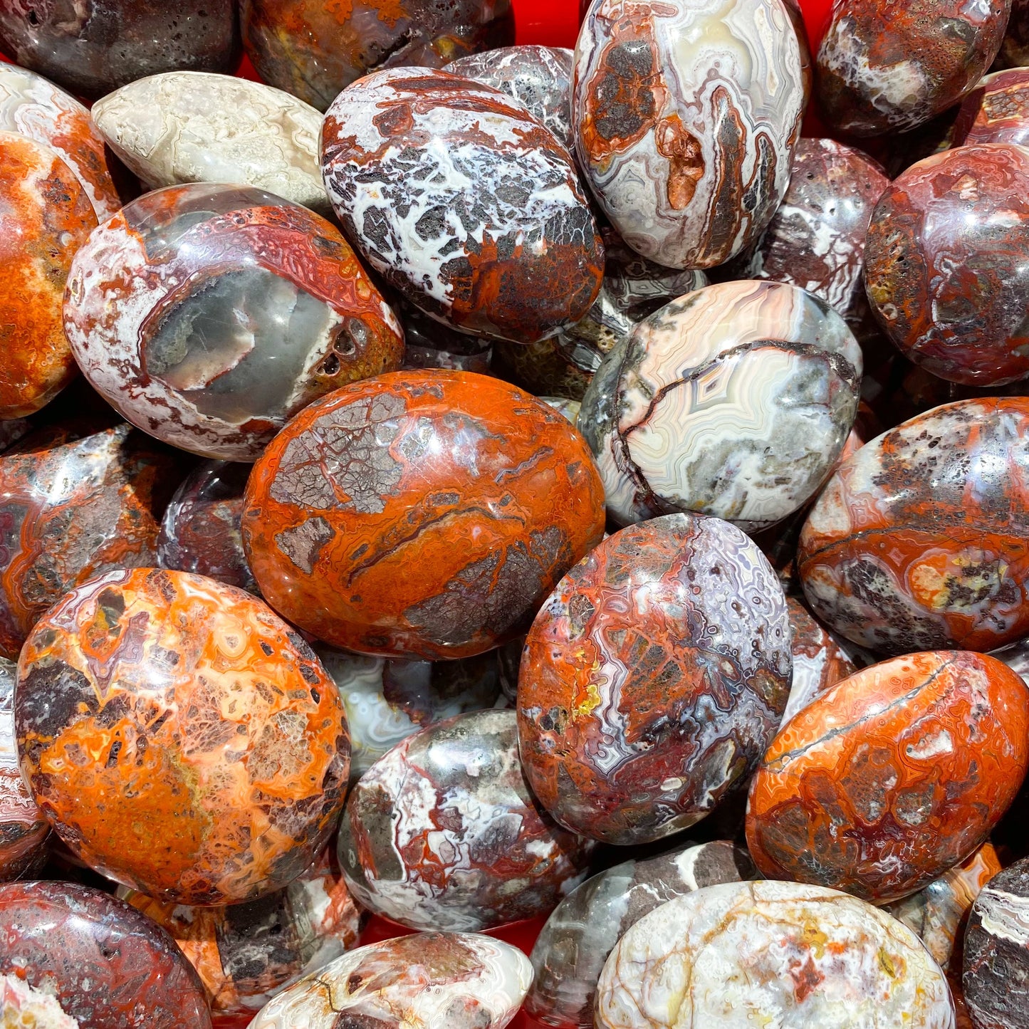 Mexican Agate Palm Stone In Bulk