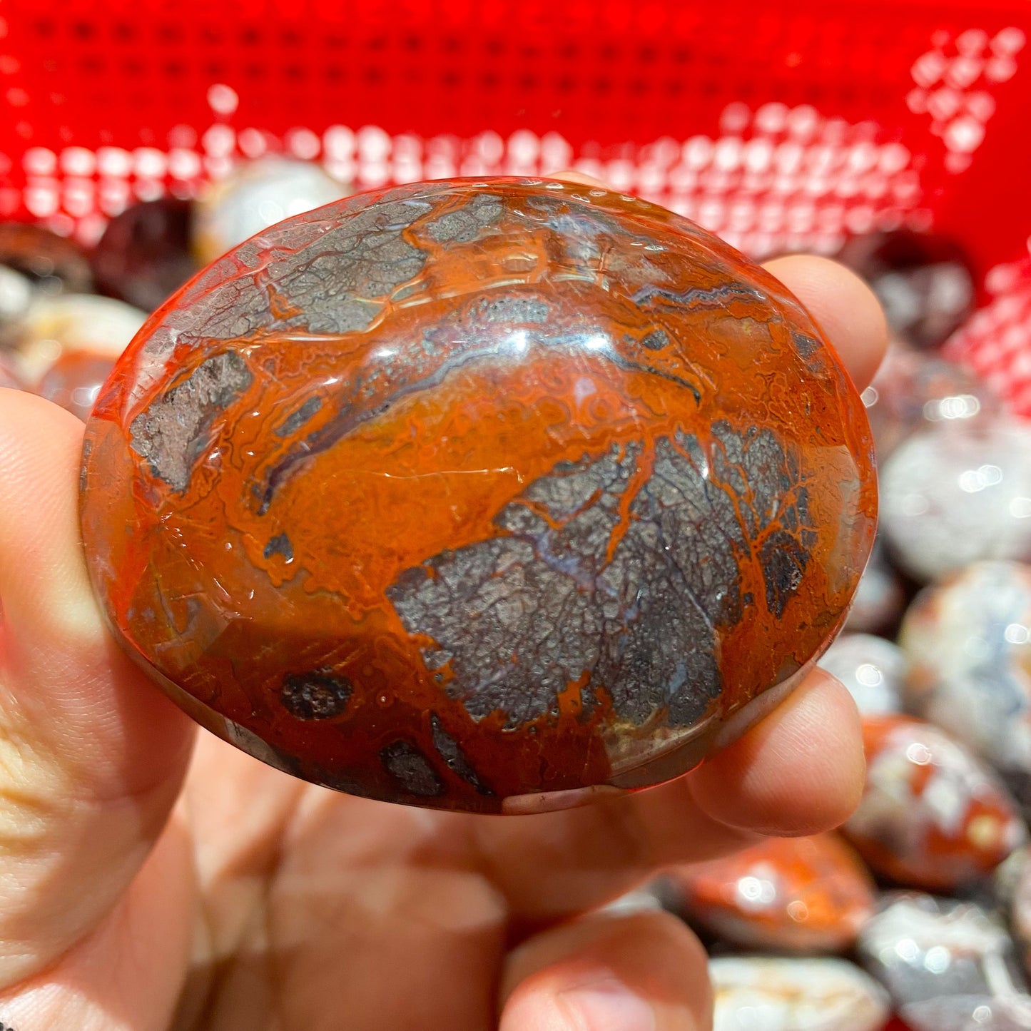 Mexican Agate Palm Stone In Bulk