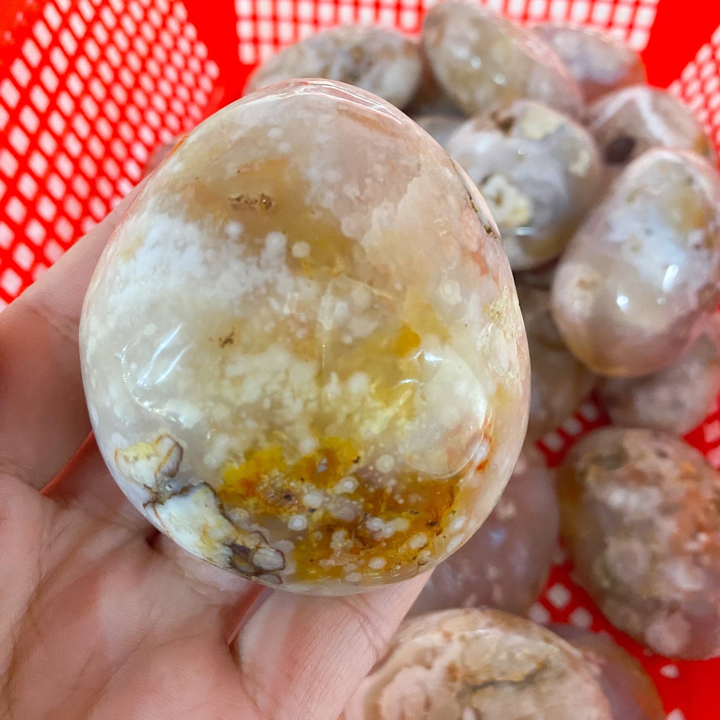 Flower Agate Palm Stone In Bulk