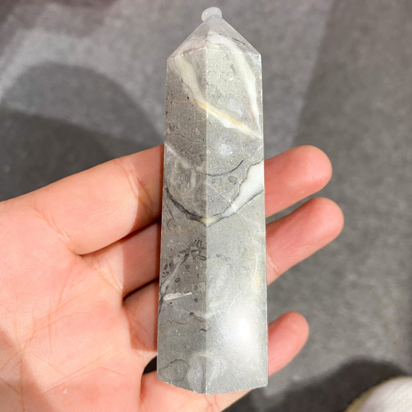 Shell Stone Point In Bulk