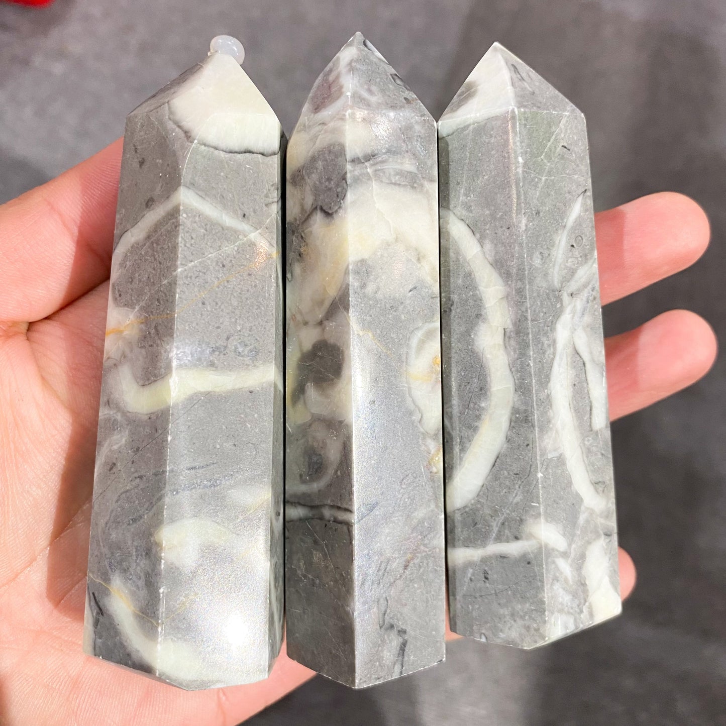 Shell Stone Point In Bulk